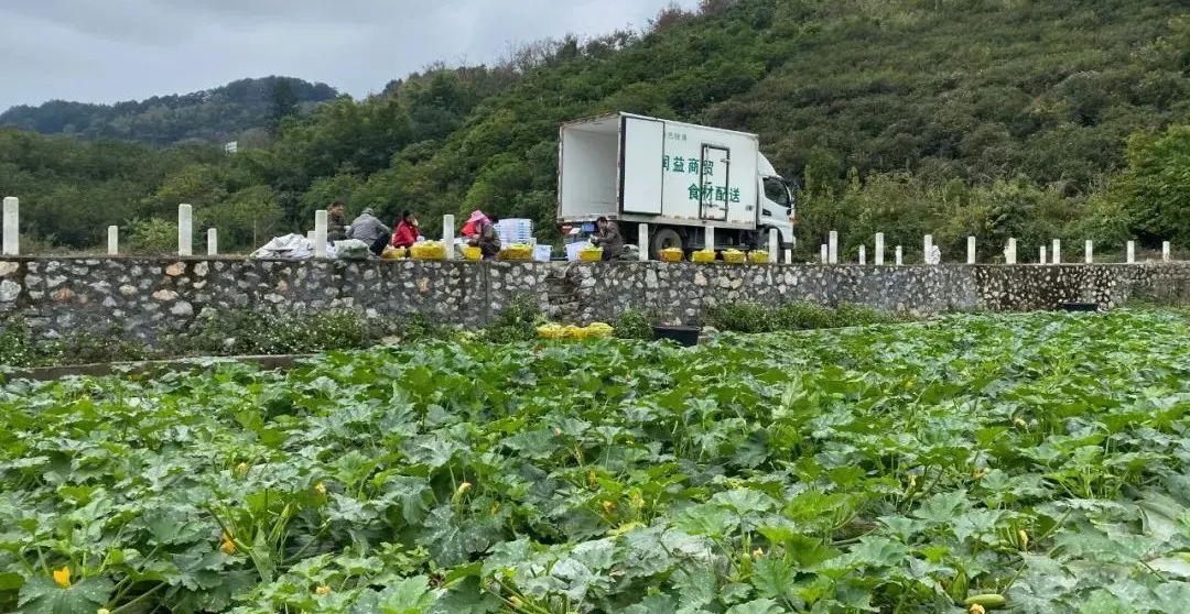 微信圖片_20220317112449 微信圖片_20220317112449