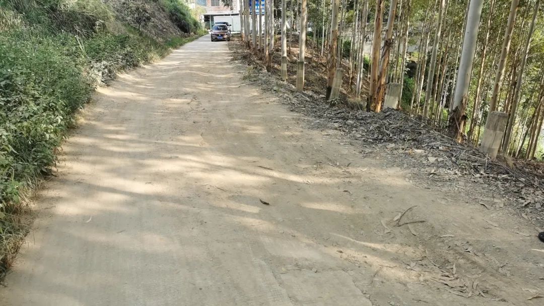 汪鄉(xiāng)調研2