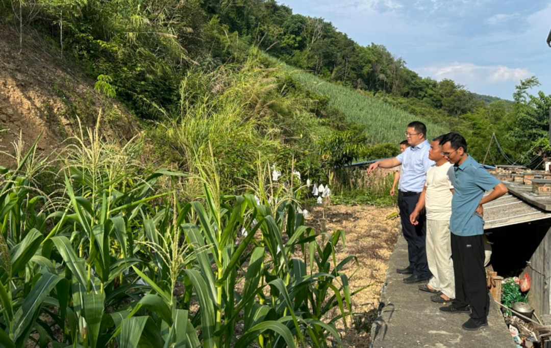 汪鄉(xiāng)調研4